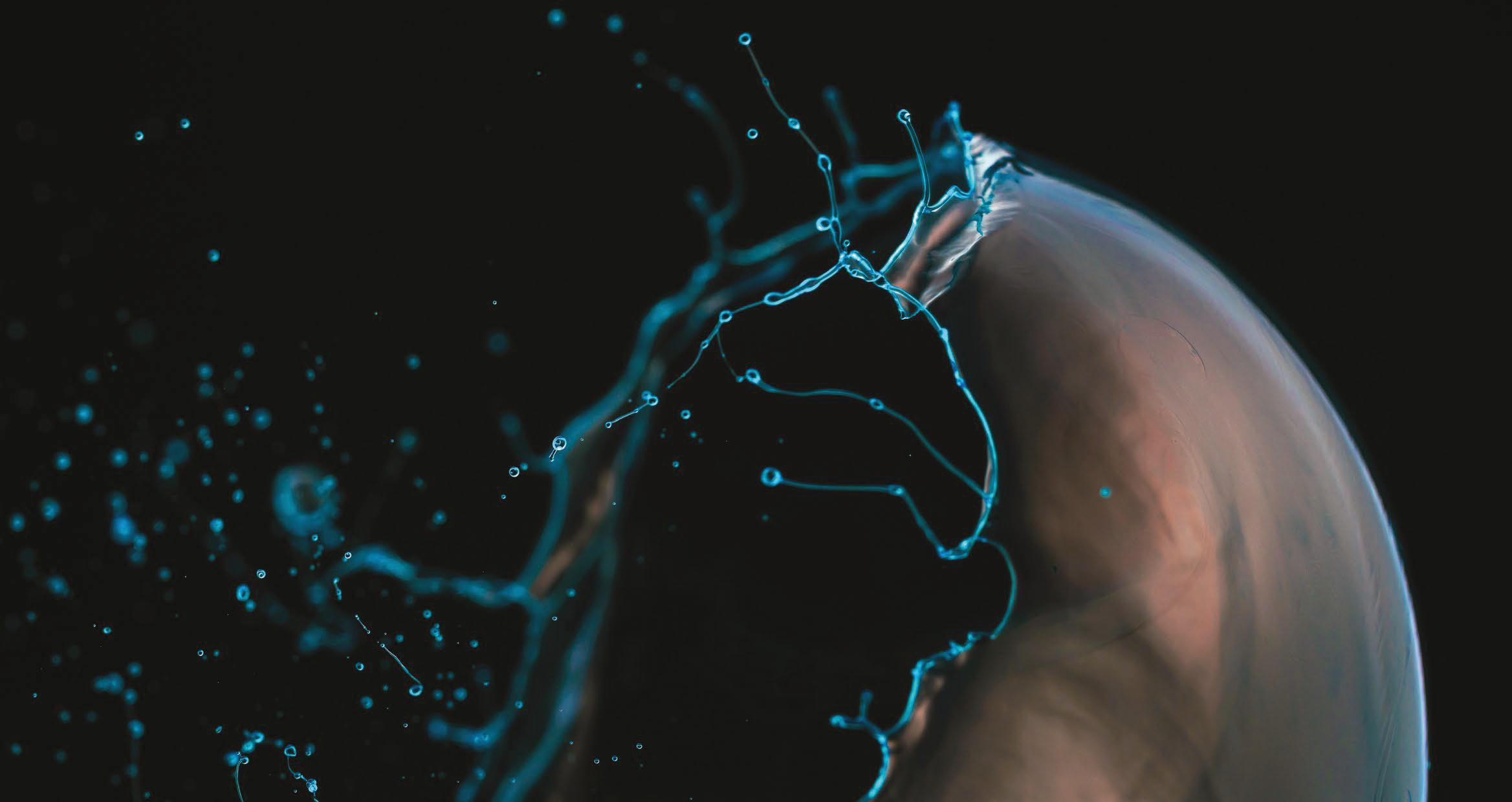 Is the AI bubble about to pop?